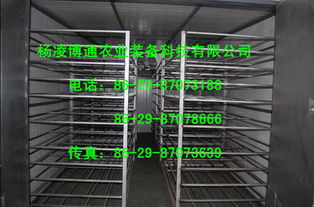 多功能烘干 果蔬烘干 西安烘干機